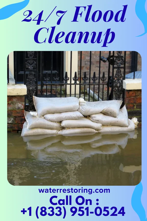 24/7 Flood Cleanup in Olanta, SC