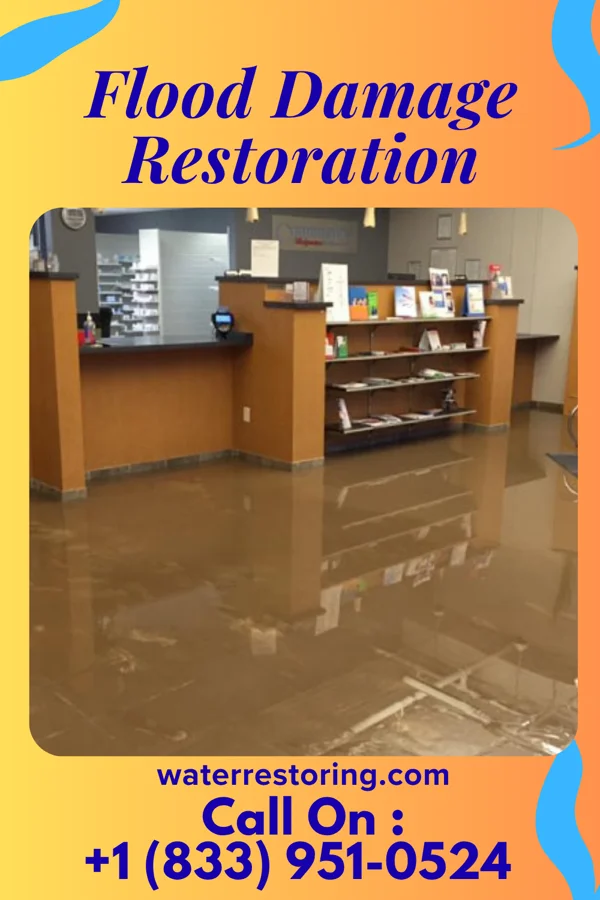 Flood Damage Restoration in Olanta, SC