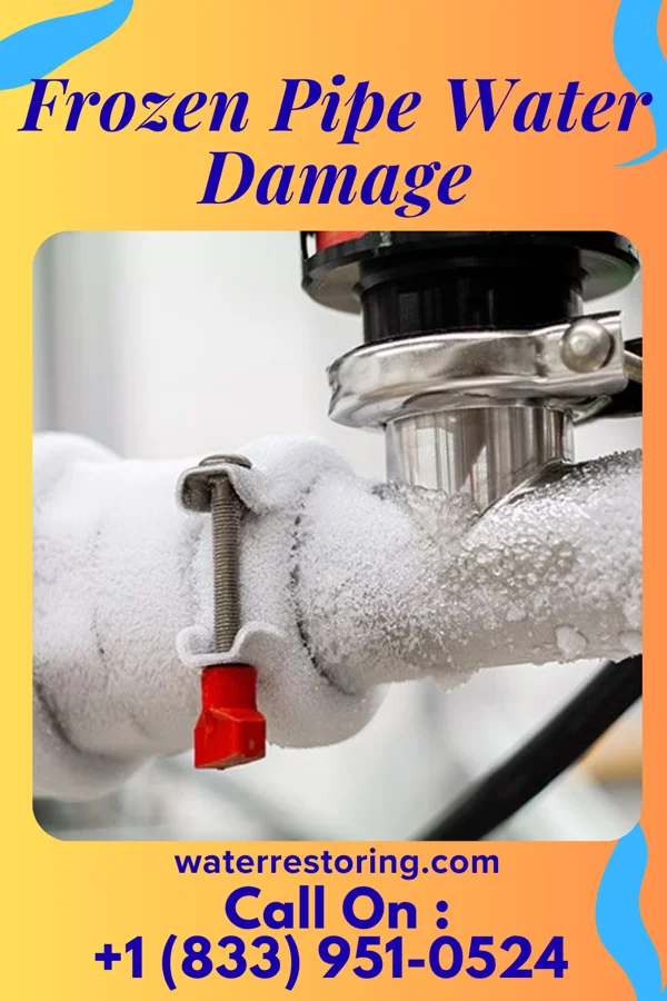 Frozen Pipe Water Damage in Olanta, SC