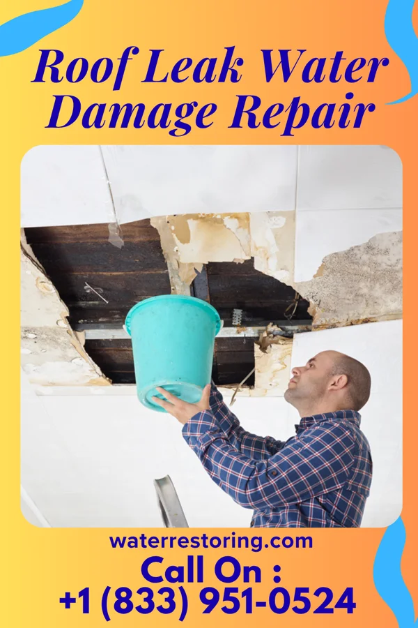 Roof Leak Water Damage Repair in Olanta, SC