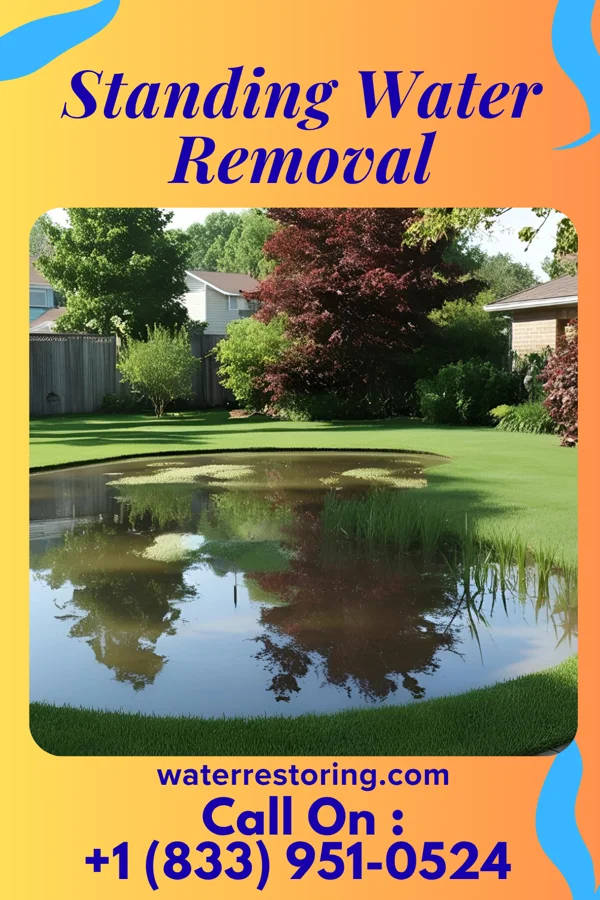 Standing Water Removal in Olanta, SC